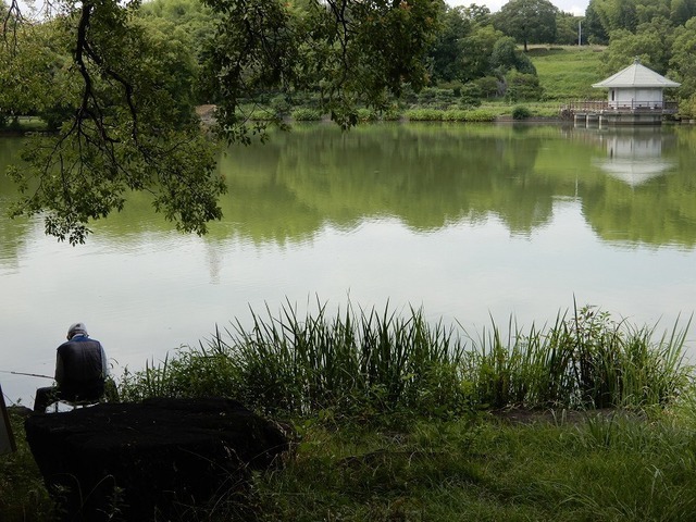 DSCN0833.jpg