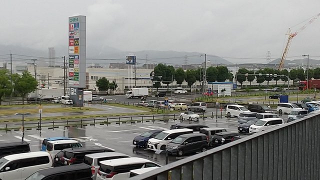 2022-7-4 (1).jpg
